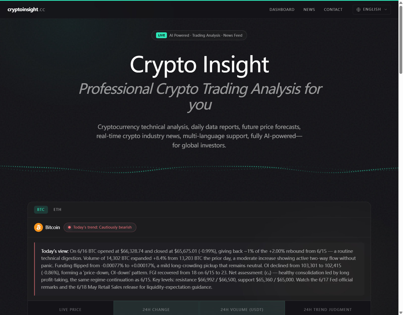 Crypto Insight website preview