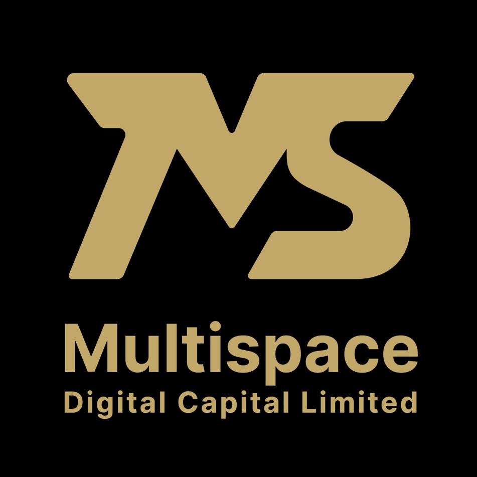 Multispace Logo